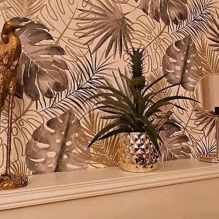 Apartment Proche Valenciennes - Maison 180 M2 Dans Dependances Chateau *